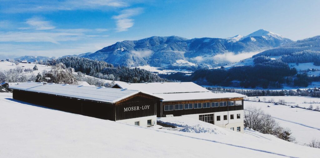 moser-loy-1-3 Hof, Gebäude, Bauernhof, Winterlandschaft