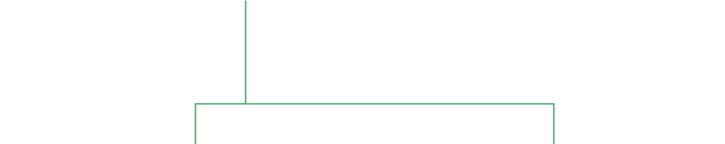 moser web element 4 grafisches Element Trennung